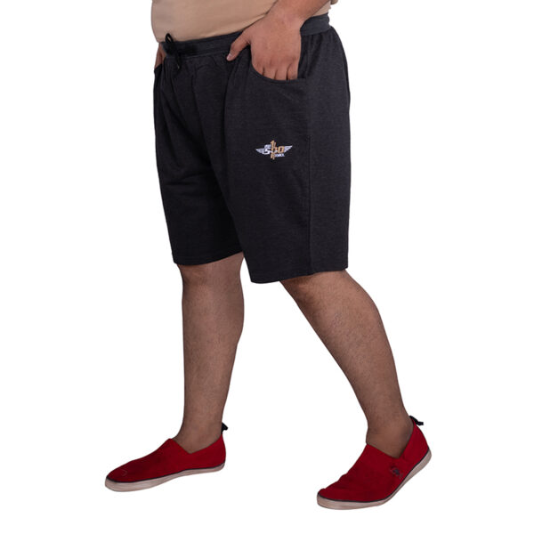 Men's Plus Size Solid Accru Shorts With Pockets