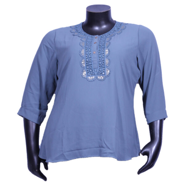 Women's Plus Size 3/4th Sleeve Embroidered Lace Georgette Sky Blue R-Neck Top